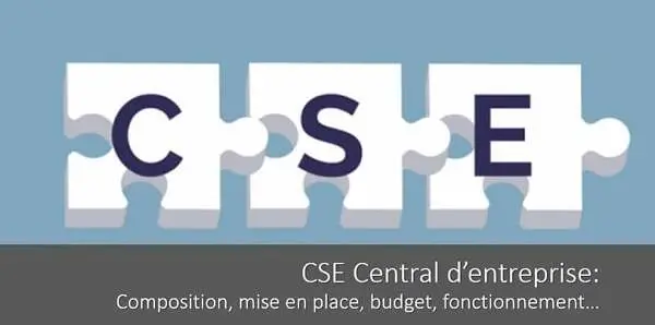 cse-central-entreprise-composition-mise-en-place-budget-fonctionnement