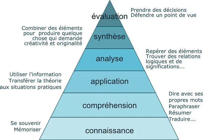 définir-étapes-objectifs-formation-palier