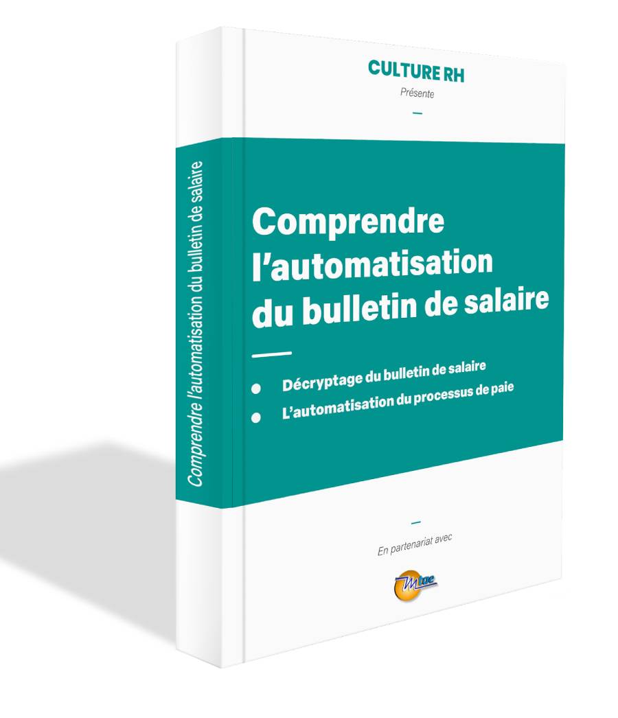 Comprendre L'automatisation Du Bulletin De Salaire