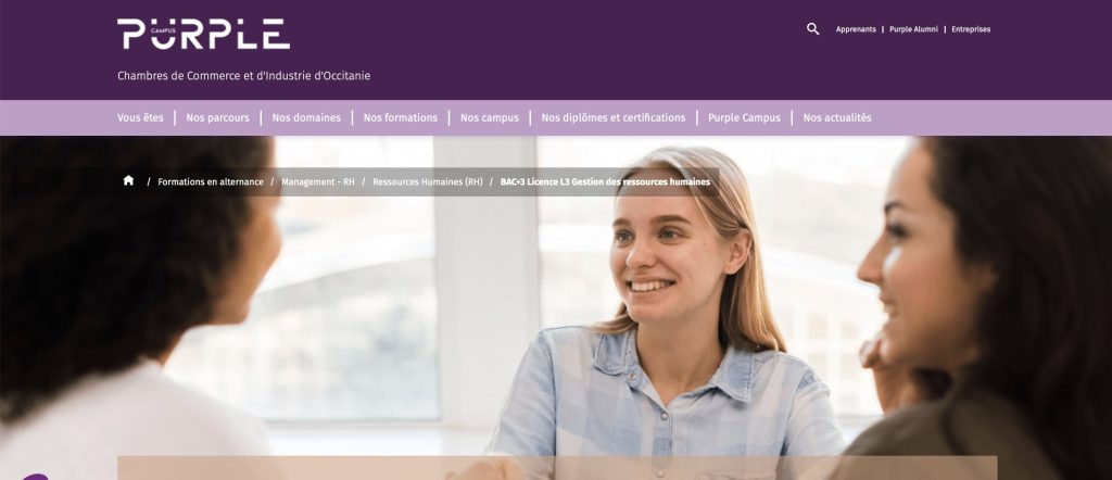image de la formation rh en alternance de Purple