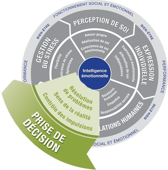 decision intuition intelligence émotionnelle