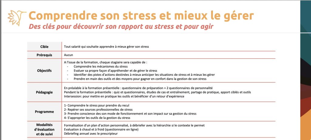 formation gestion du stress de Cepig