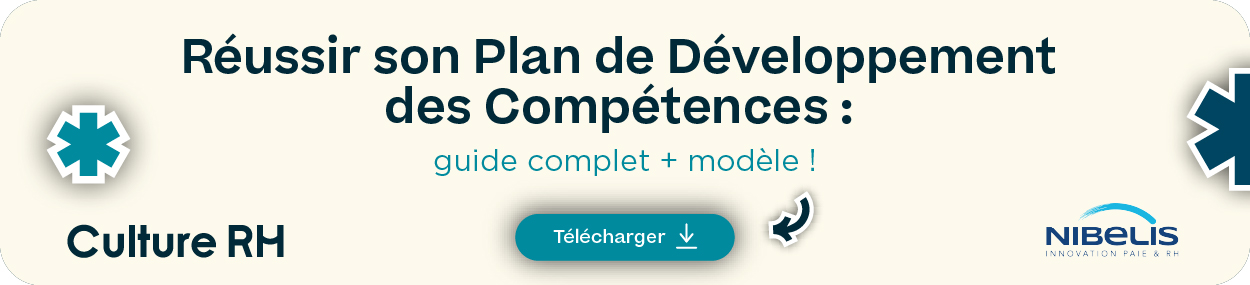livre-blanc-modele-plan-developpement-des-competences