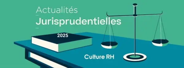 veille-jurisprudentielle-2025