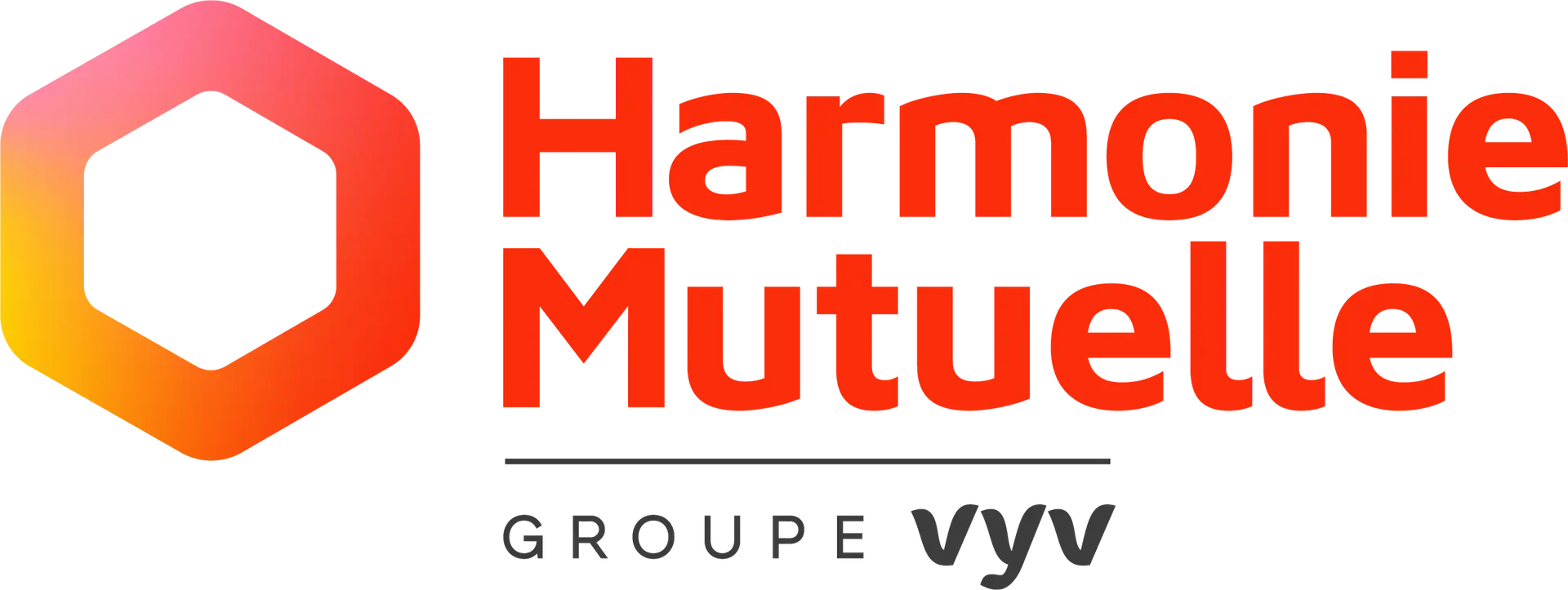 HM_Groupe_VYV_Endossement_gris_RVB